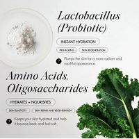 SKOON. OH SHERBET! Exfoliating Mask